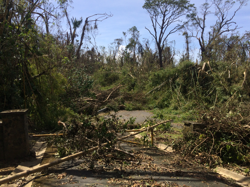 Entrance to the El Verde Field Station in El Yunque National Forest. Image: Omar Gutiérrez del Arroyo Santiago